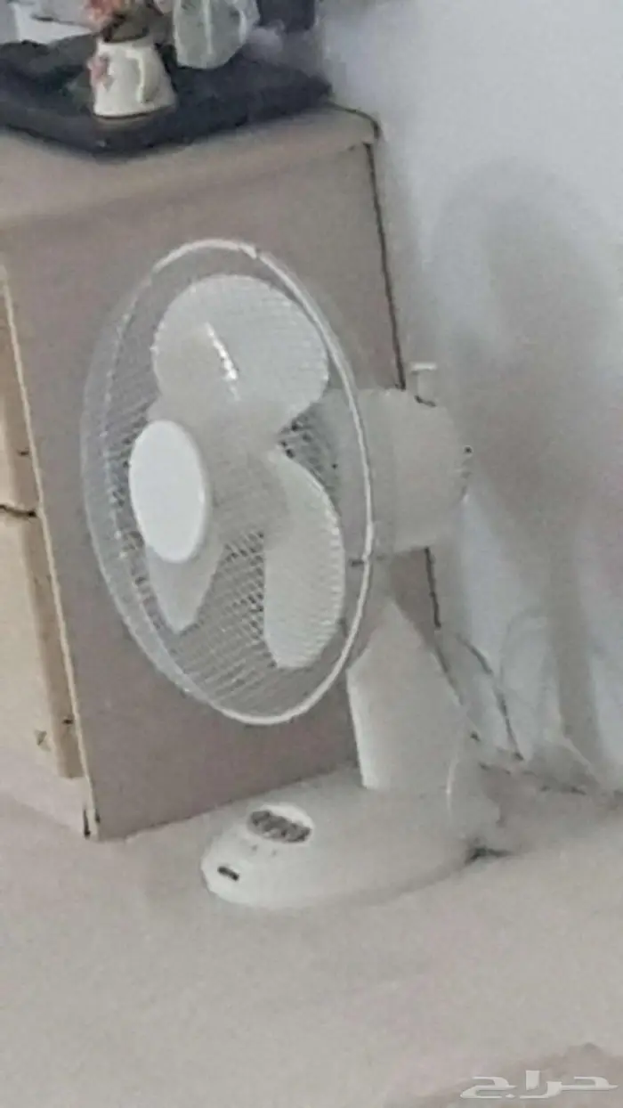 مكواة كاوية ملابس بخارية مع مروحة طاولة 3