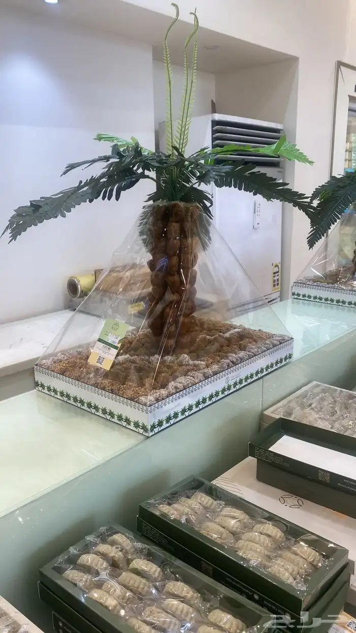 قهوجين وصبابين 1