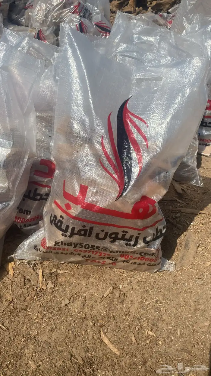 حطب زيتون افريقى 5