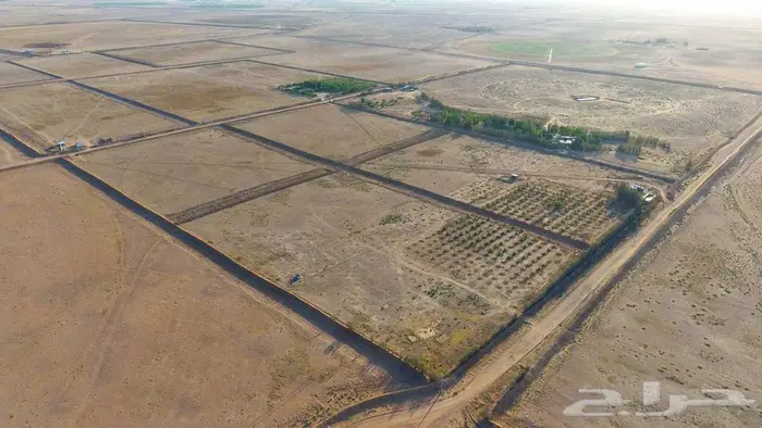 مزرعة للبيع بحائل بالودي مساحة 50.000 الف متر 6