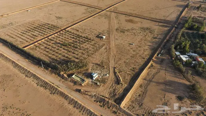 مزرعة للبيع بحائل بالودي مساحة 50.000 الف متر 1