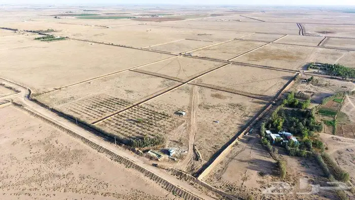 مزرعة للبيع بحائل بالودي مساحة 50.000 الف متر 2