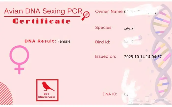 فرخ دبل هد ماقنا اليف ومتكلم وهدد 3