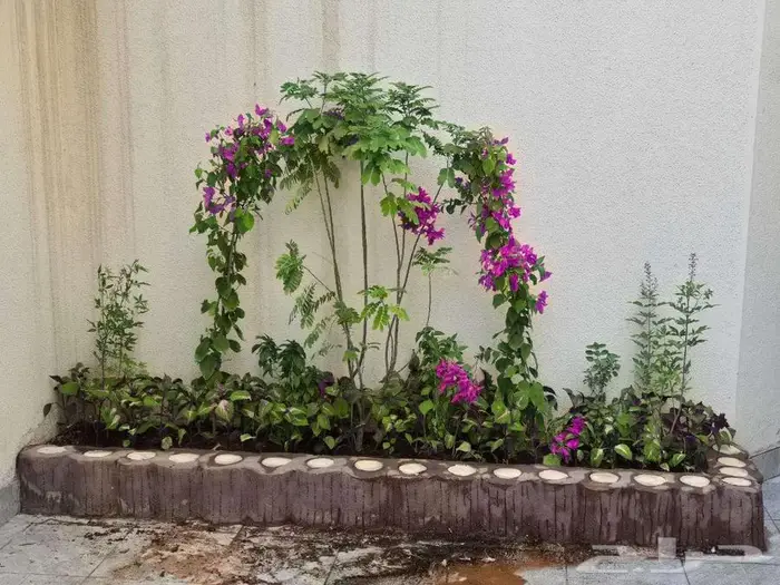 تنسيق حدائق طبيعي وصناعي بالرياض 2