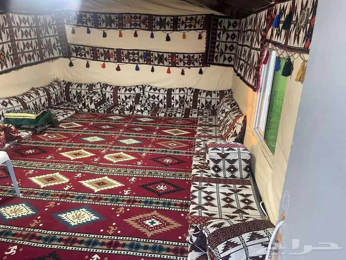 ايواء خيل - تسمين - تشغيل -متابعة 4