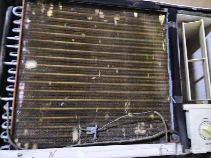 الحمراء الدمام 2