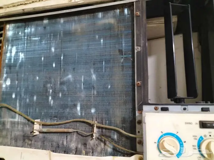 الحمراء الدمام 3