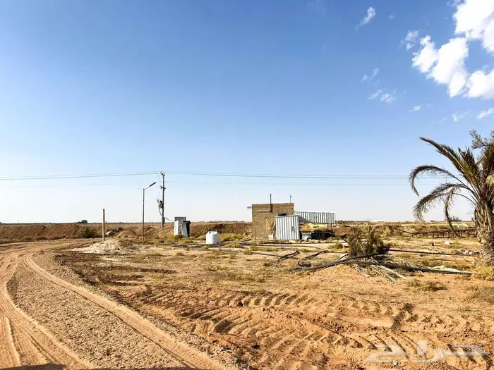 مزرعة للبيع بحائل بالودي مساحة 50.000 الف متر 4