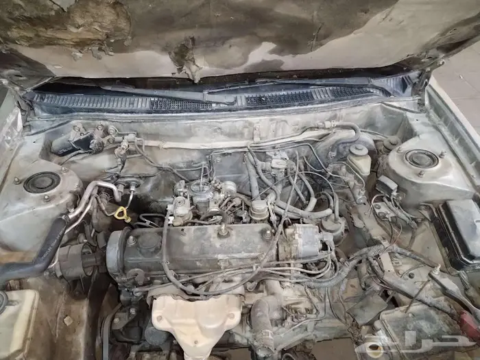 كورلا مويل 99 6