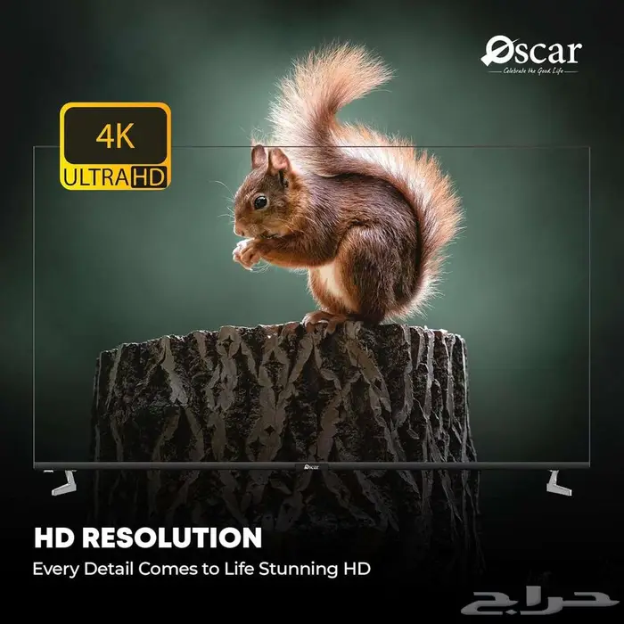 عرض خاص اوسكار شاشة 70 بوصة سمارت فوركيه نظامLG 1399ريال 3