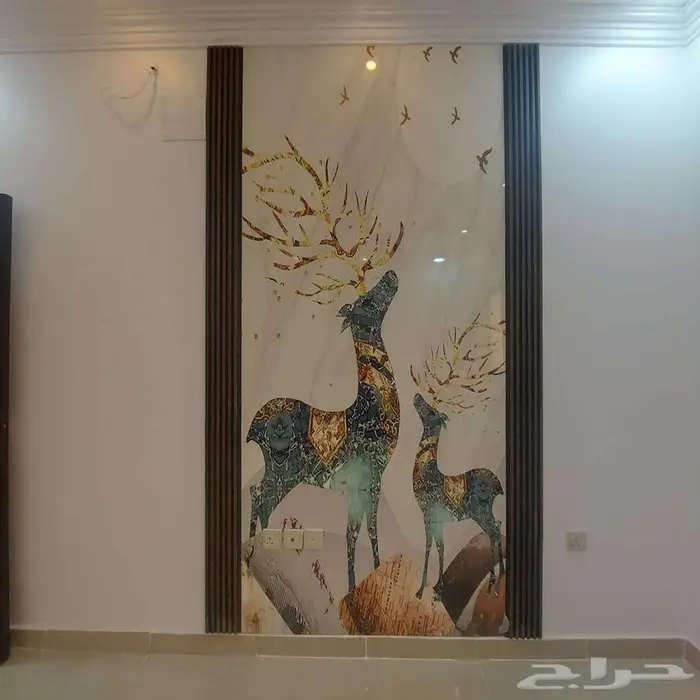 شقق للبيع حي النور ب 450 الف 0