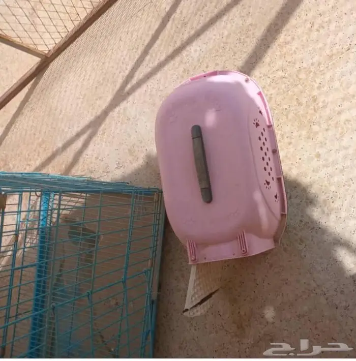 قفص كلاب كبير جداا 0