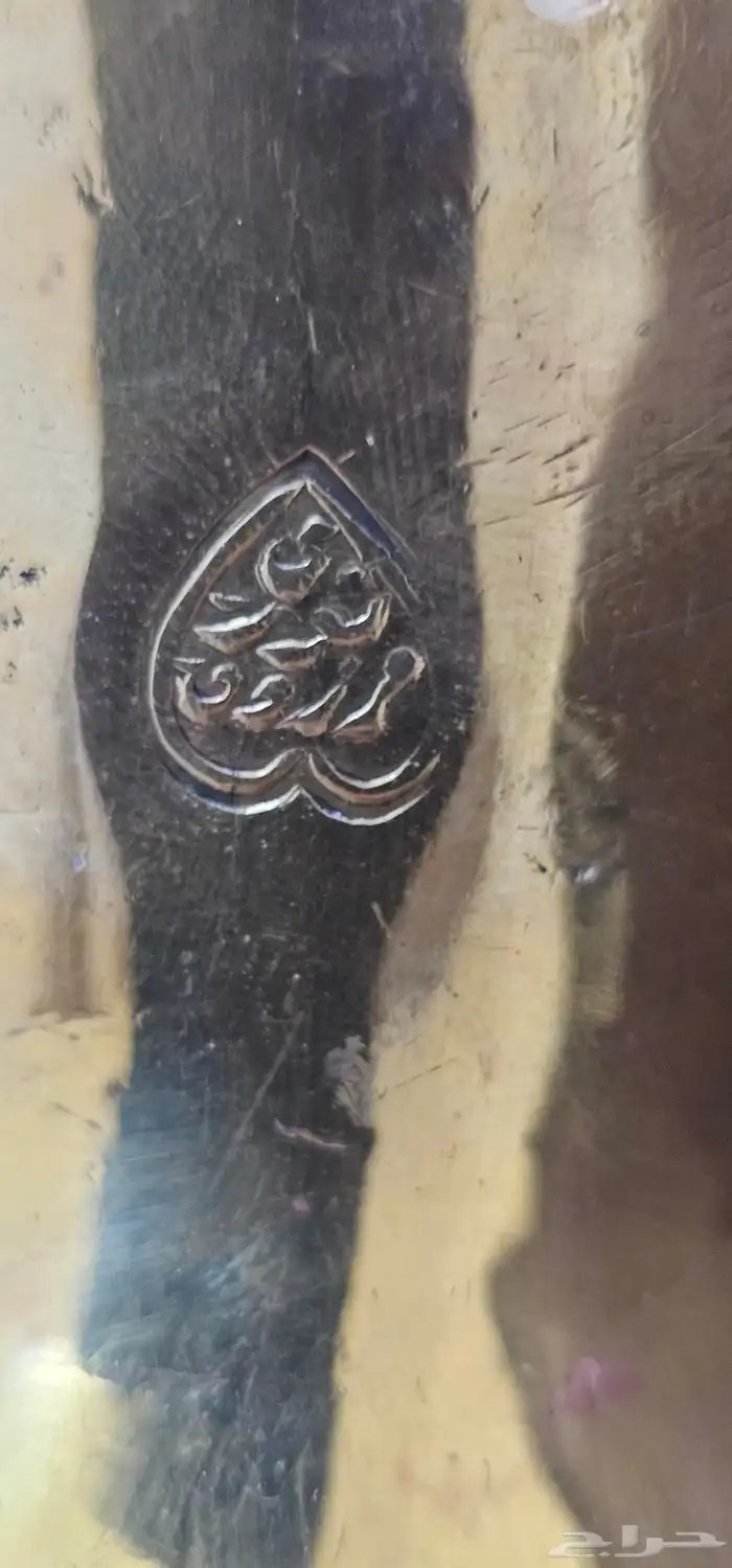 دلة رسلان ختم 5