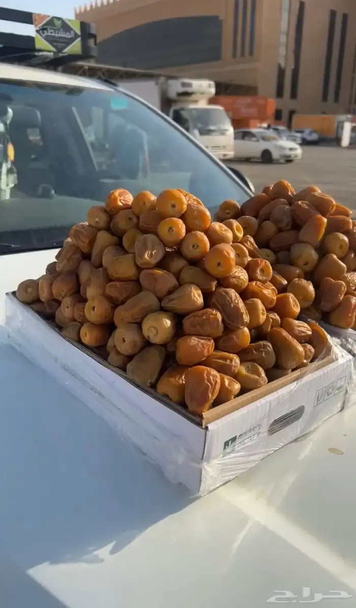 تمر القصيم 2