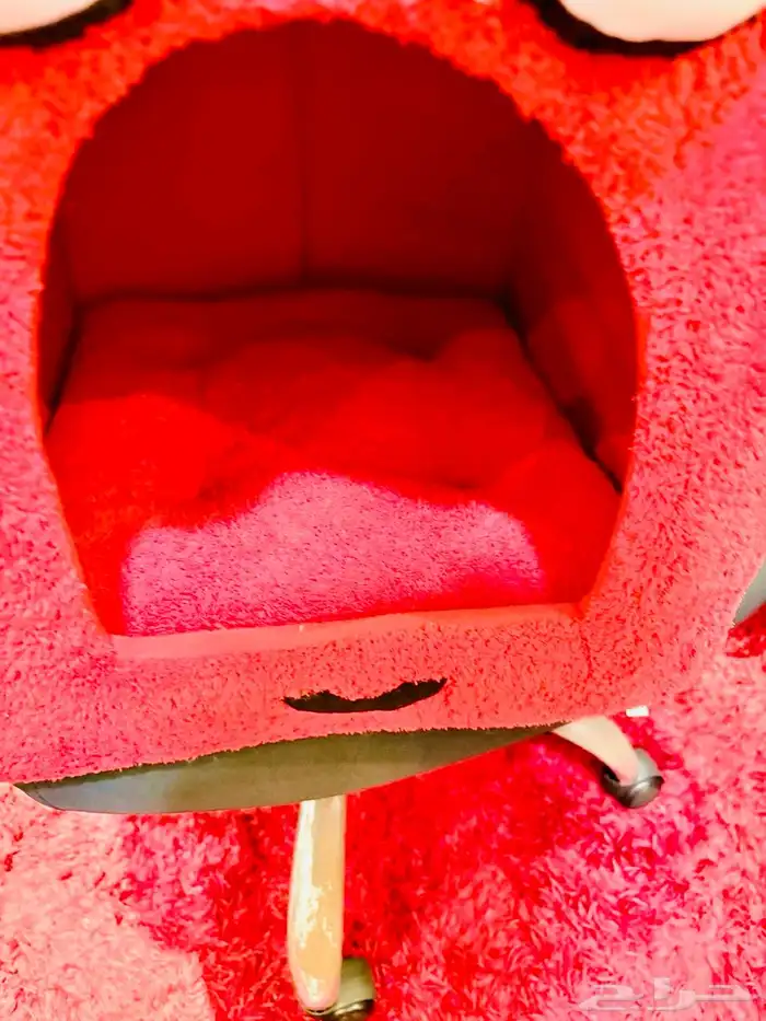 دلعي قطك قطتك .. 0