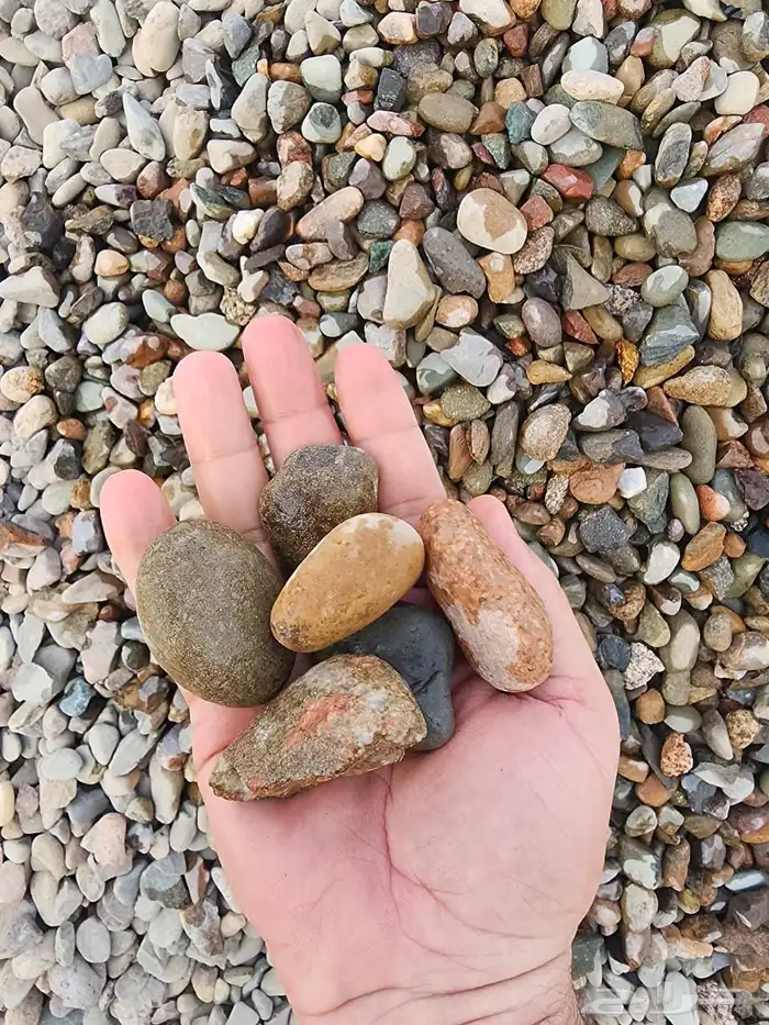 حجر نهري للزينة الحدائق والممرات 0