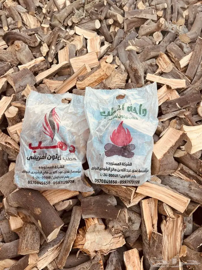 حطب زيتون افريقى 2