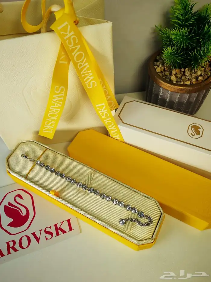 اساور سوار فيسكي 1