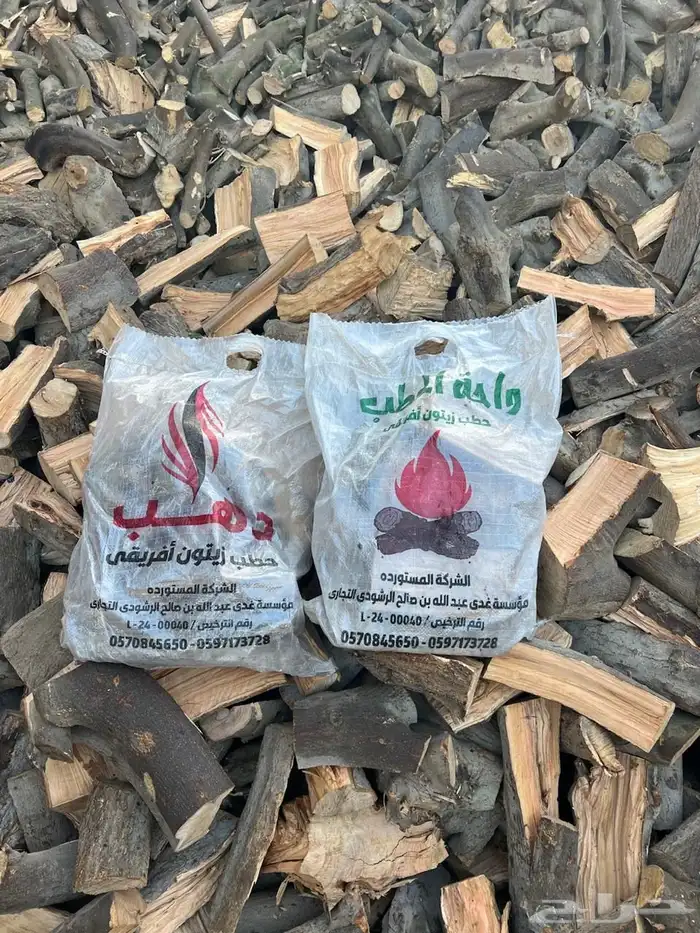 حطب زيتون افريقى 1