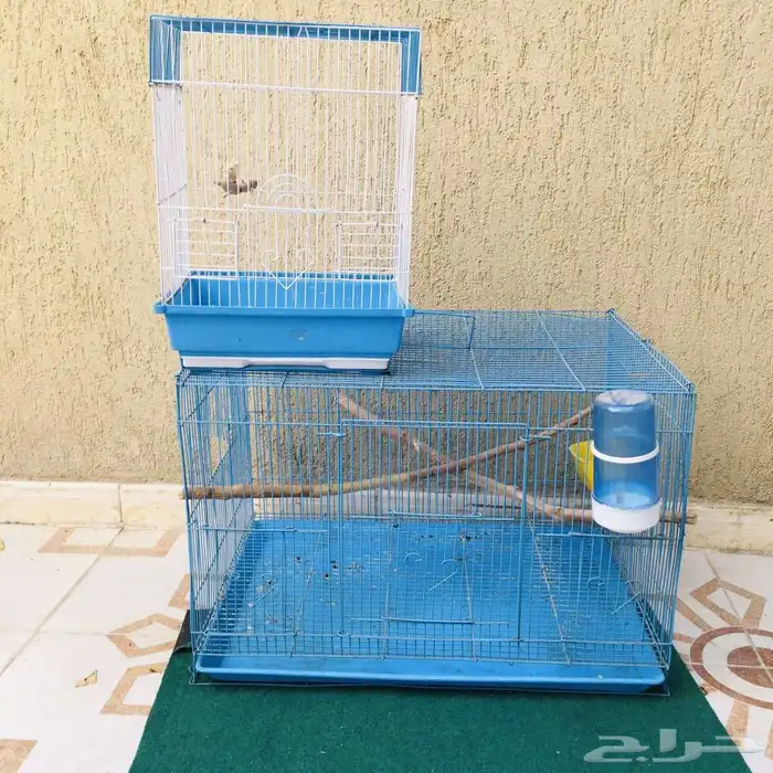 للبيع قفصين 0