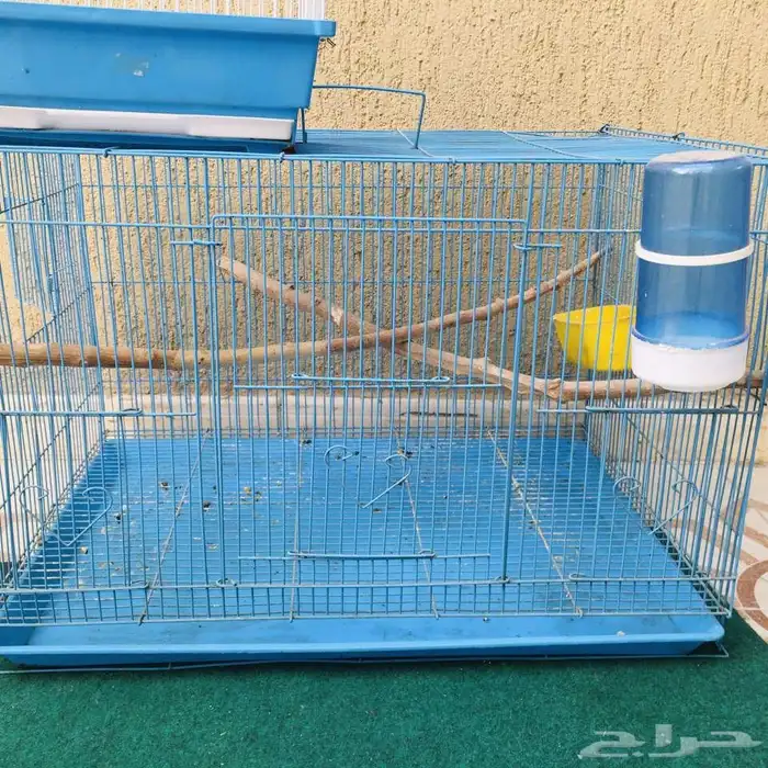 للبيع قفصين 2