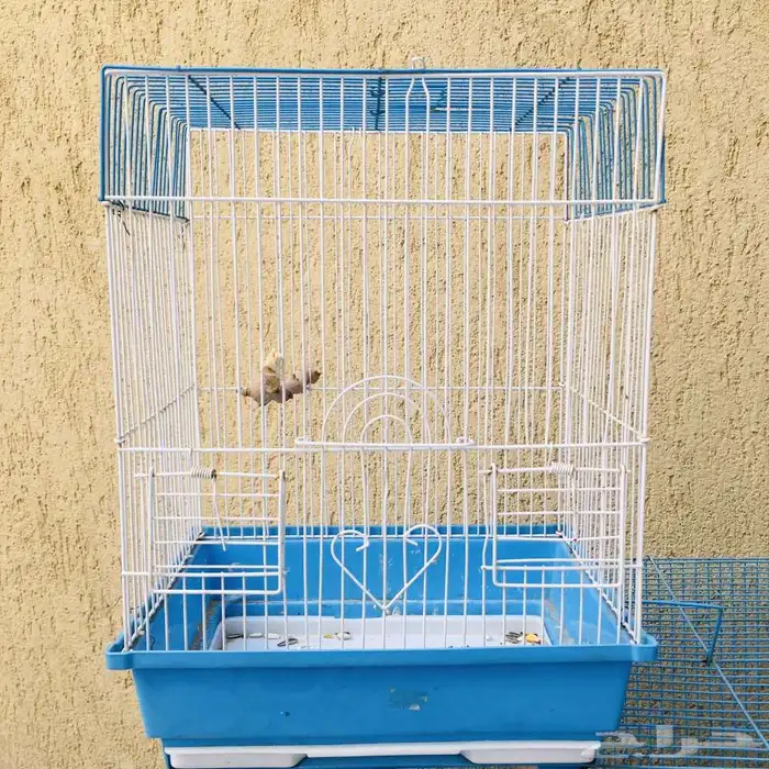 للبيع قفصين 1