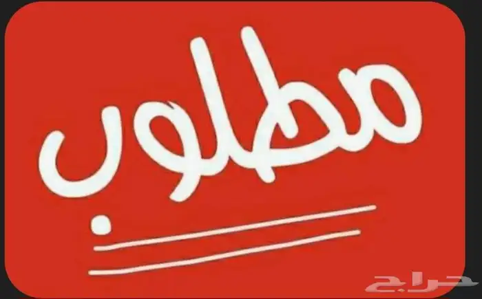 مطلوب شقه للايجار 3 أشهر ونص 0