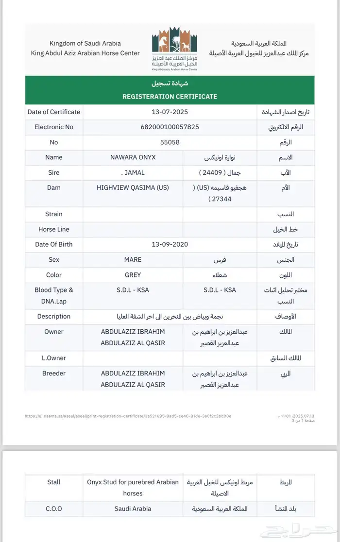 فرس واهو مصريه سليمه شرط 3