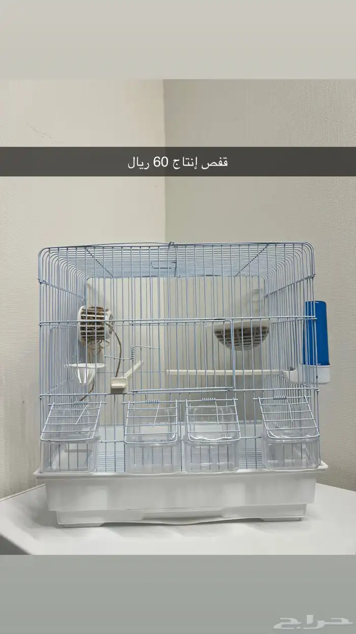 قفز طيور 2