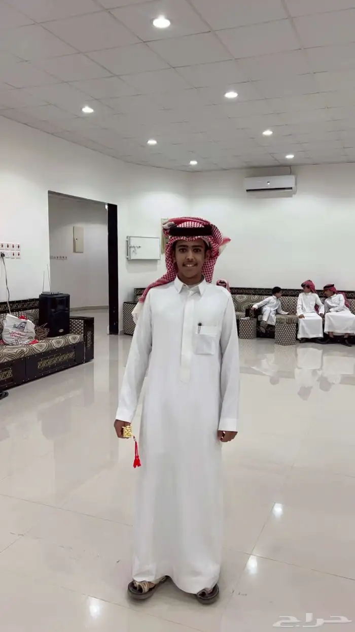 حصان انقليزي للبيع 2
