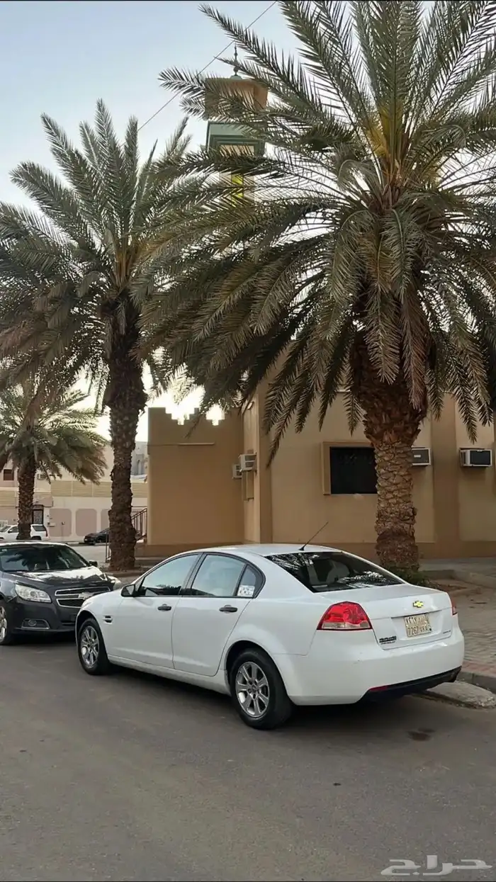 لوميناls 0