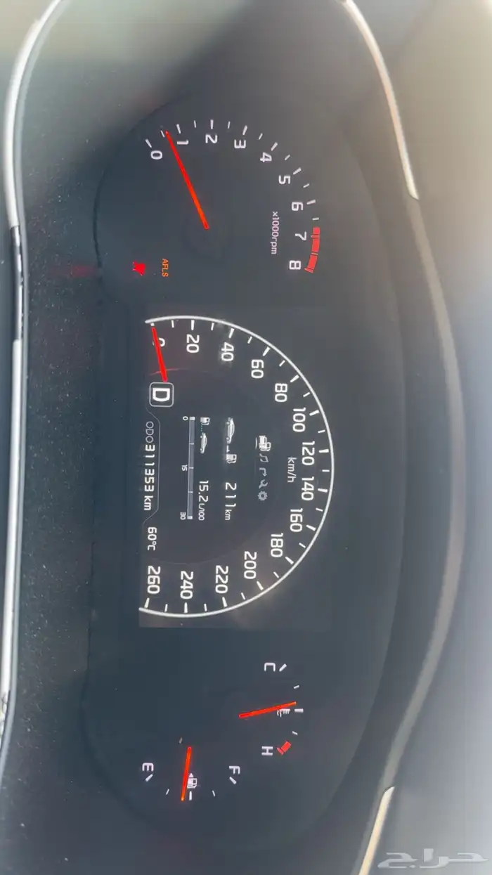 كادينزا 2014 3