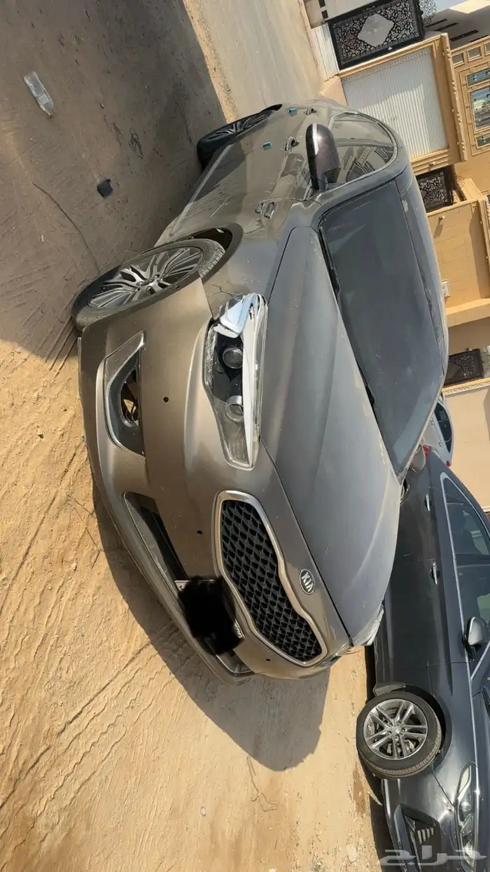 كادينزا 2014 6