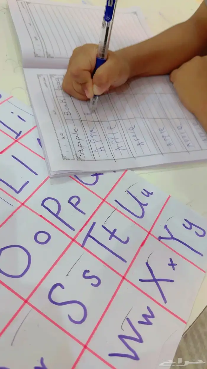 معلمة تأسيس لغه إنجليزية إبتدائي ومتوسط 2