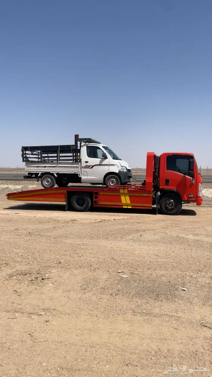 سطحه العقله الصقور 0