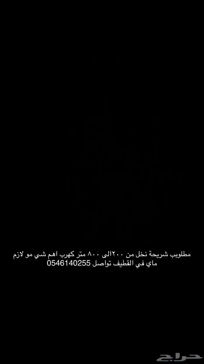 ابحث عن نخل للايجار كهرب اهم شي فالقطيف 0