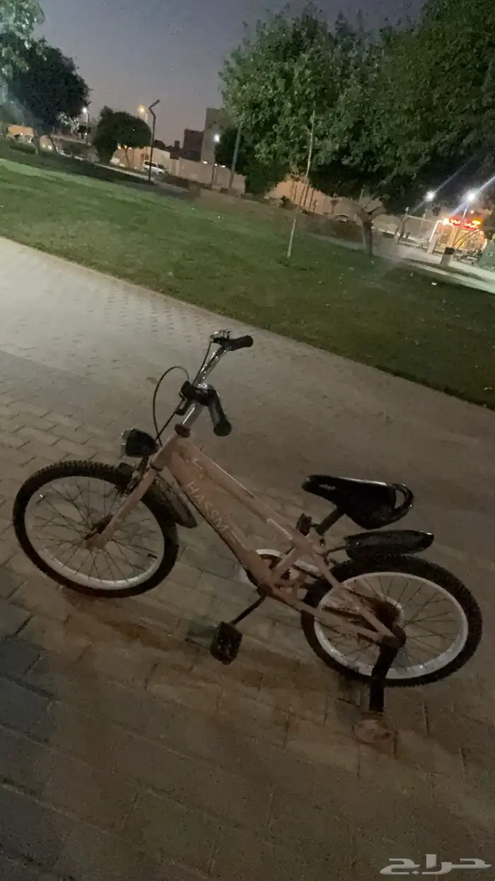 سيكل دراجه بناتي وردي 1