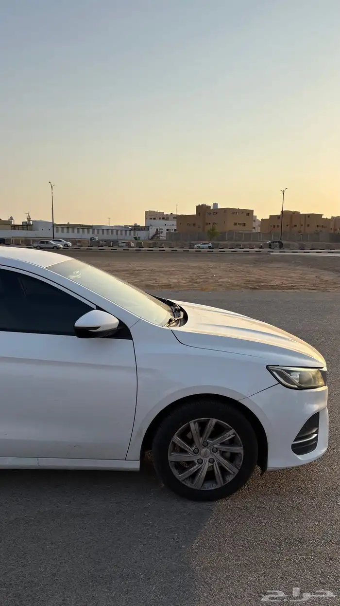 جيلي بينراي 2020 9