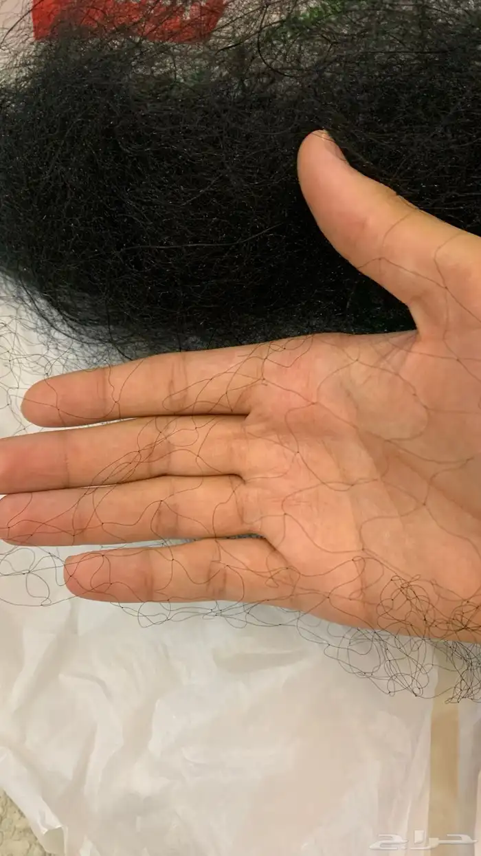 شبك صيد عصافير (نايلون ممتازه جدا) 2