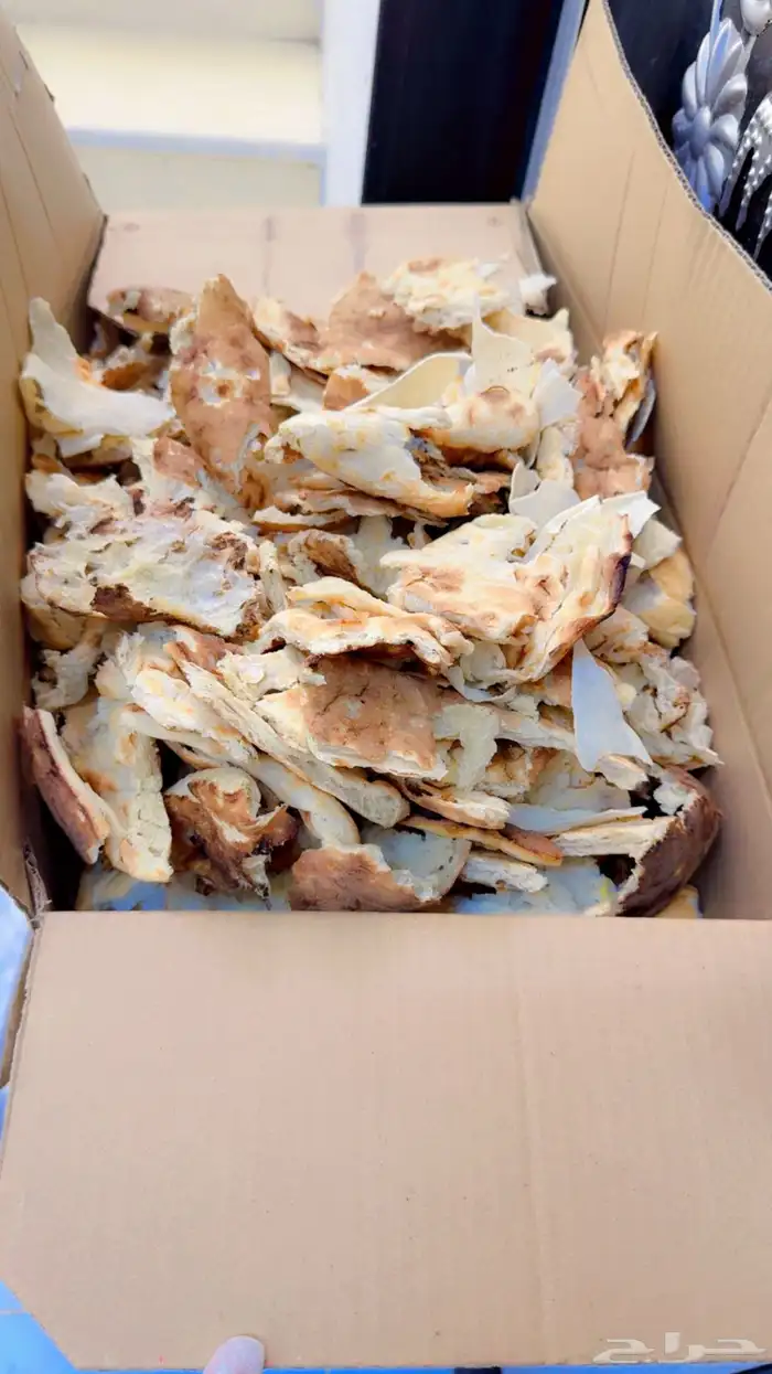 خبز نظيف للحيوانات 0