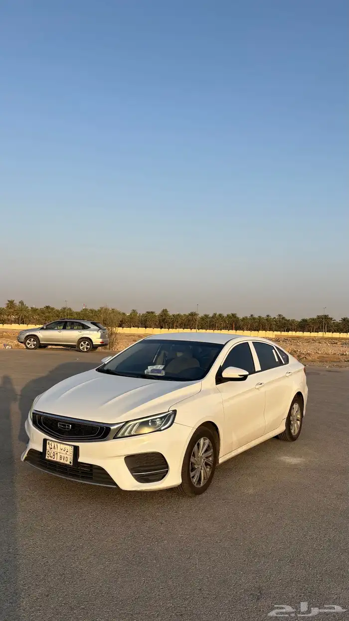جيلي بينراي 2020 0