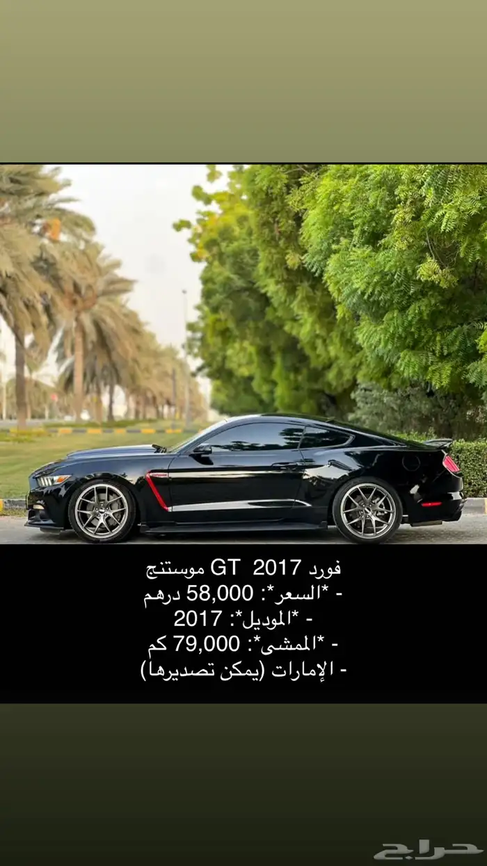 موستنق موستنج 2013 11