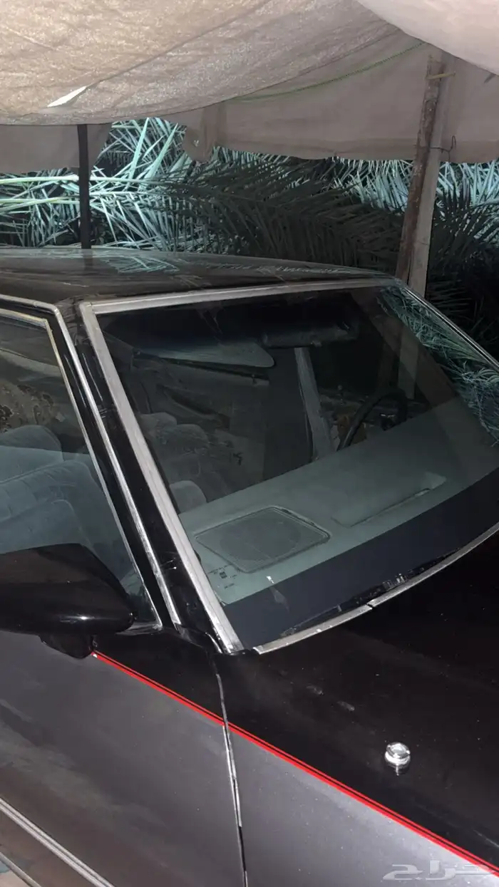 كابرس 1990 14