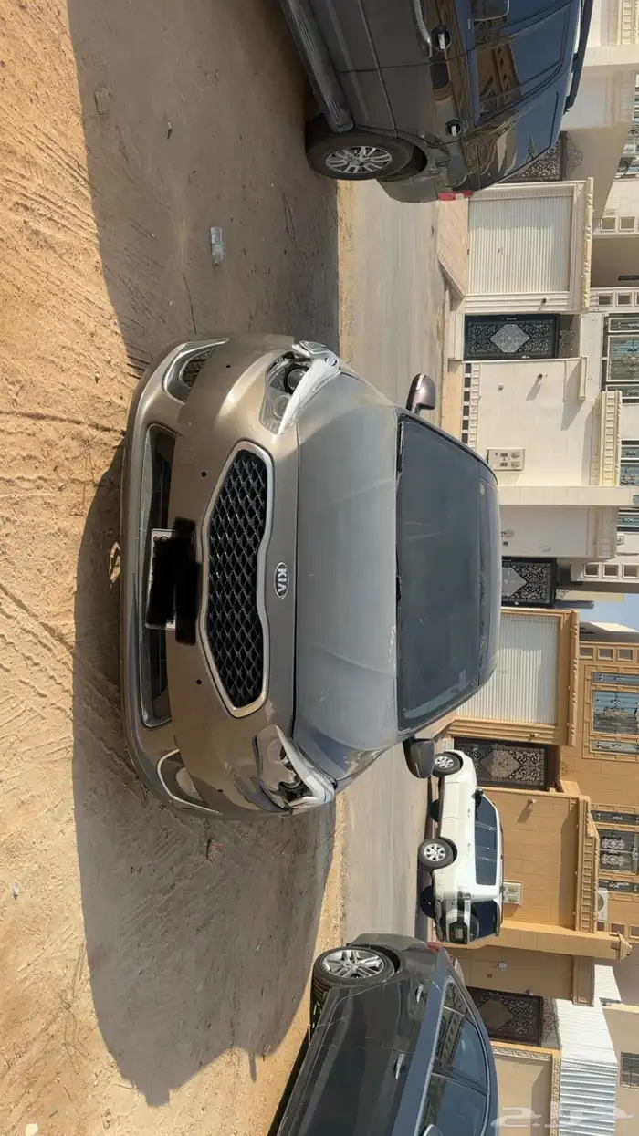 كادينزا 2014 7