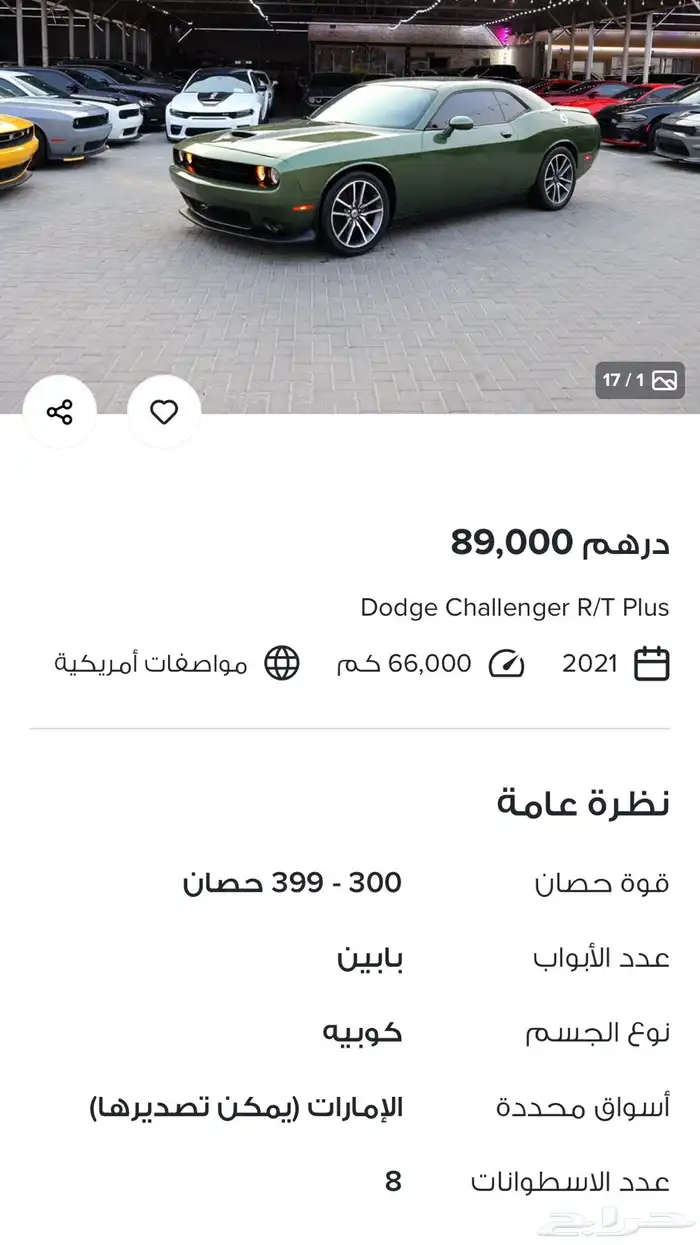 موستنق موستنج 2013 16