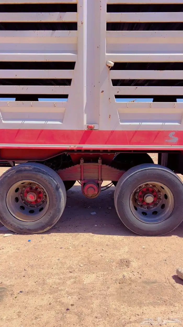 غنامي تيدر للبيع 4