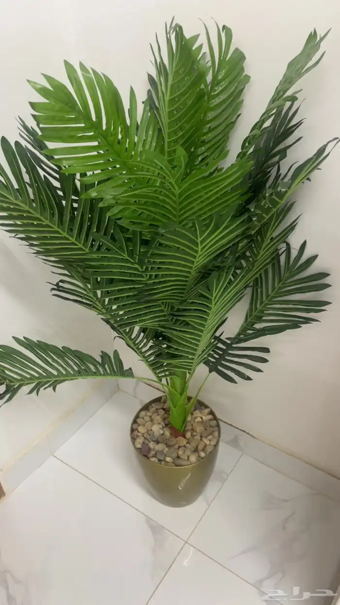 اثاث 2