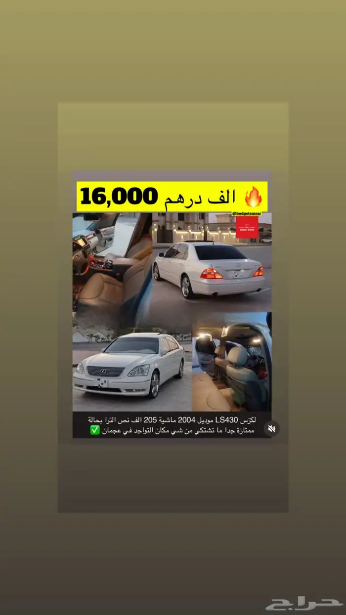 موستنق موستنج 2013 23