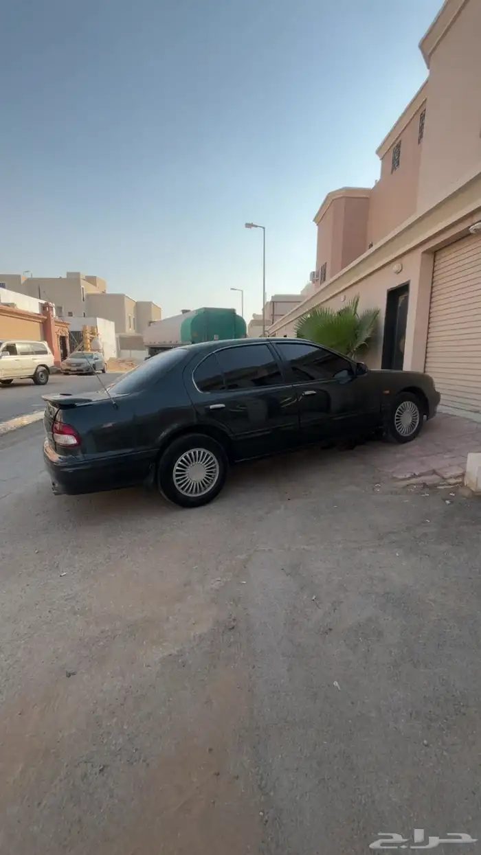 مكسيما 98 2