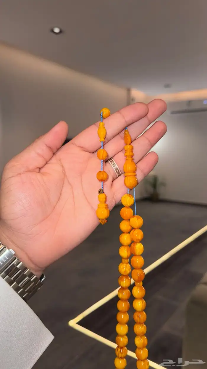 فاتوران مشمشي 12 ملي 1